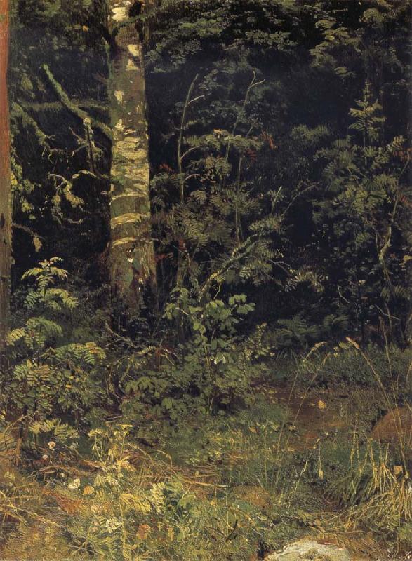 Ivan Shishkin Silver birch and mountain ash Norge oil painting art